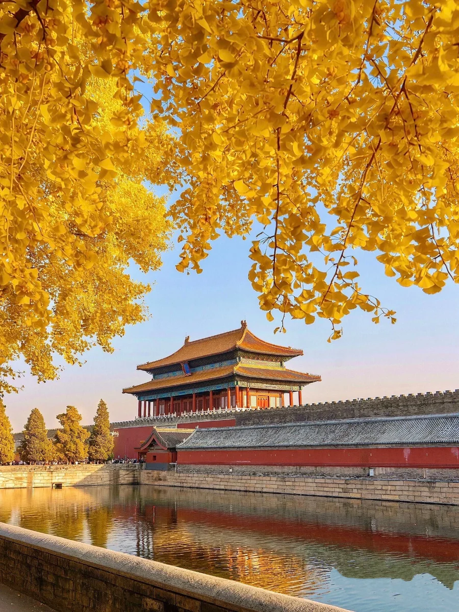 Golden leaves framing a palace gate and the moat in Beijing