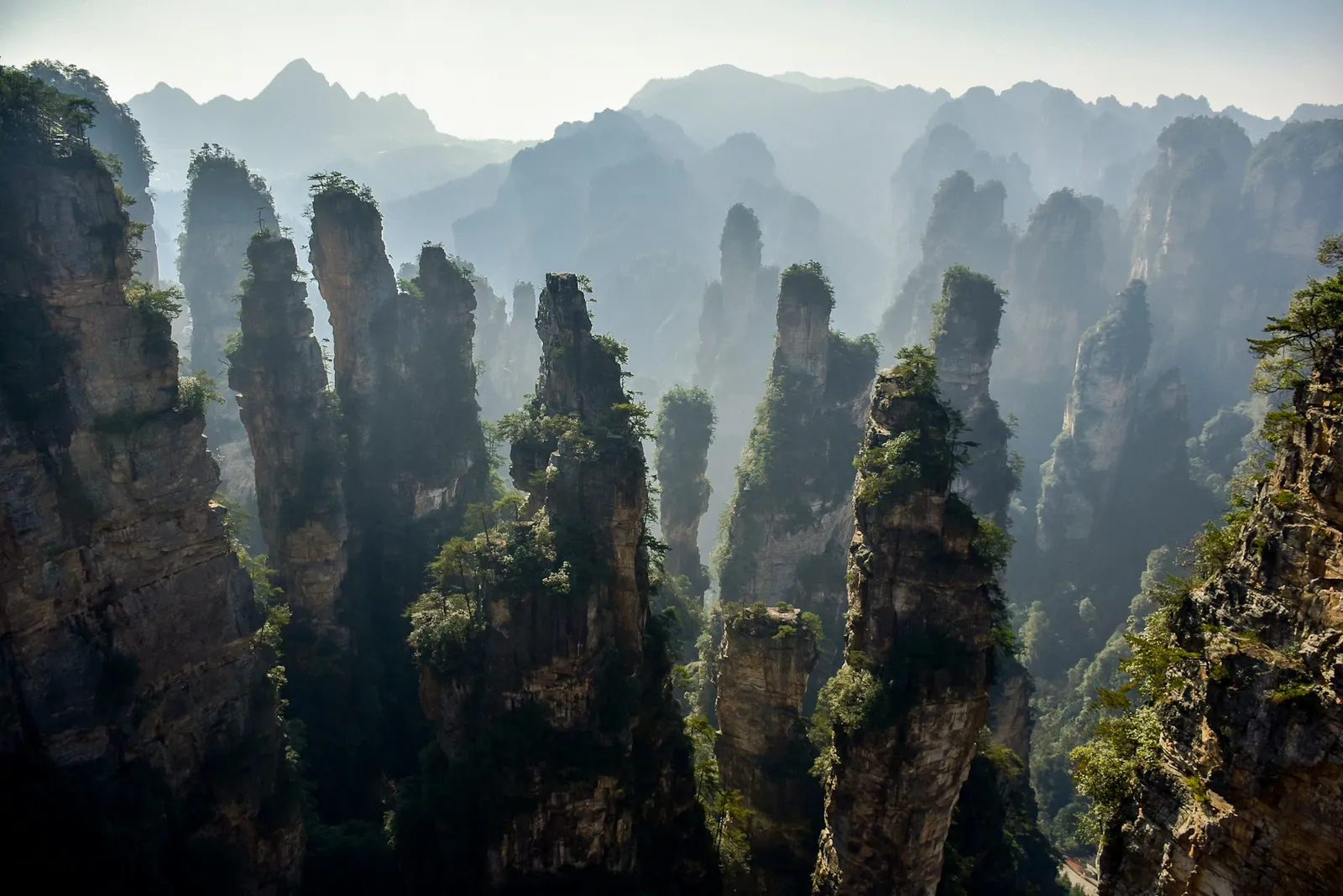 Forested sandstone pillars rising through mist in Zhangjiajie