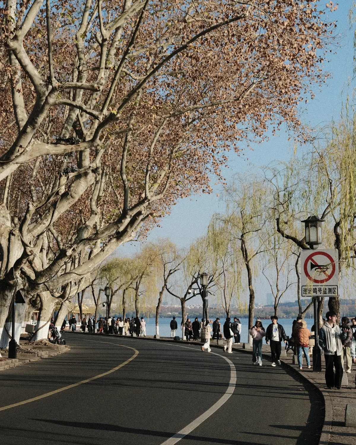 A tree-lined road and waterfront walkway along the shore of West Lake