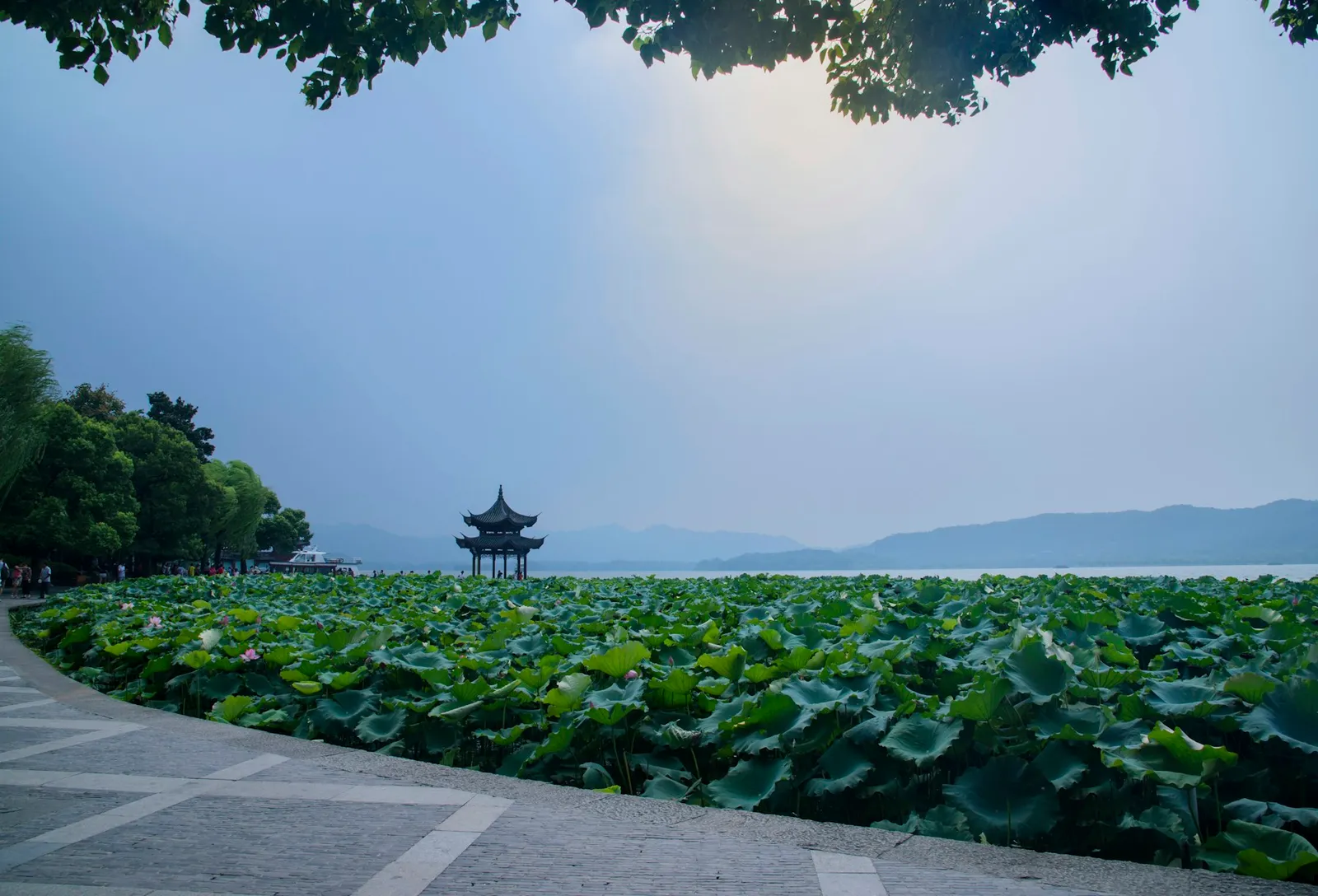 Lotus leaves and a traditional pavilion beside West Lake in Hangzhou